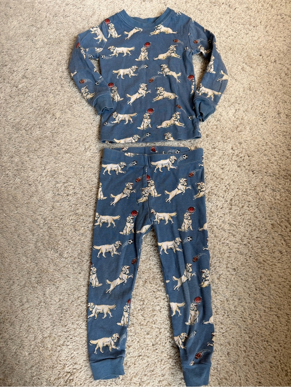 Toddler Boys Organic Cotton Pajama Set